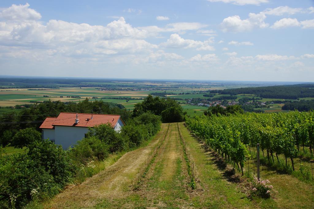 Kellerstoeckl Weinblick I Und II Eisenberg an der Pinka Exterior foto